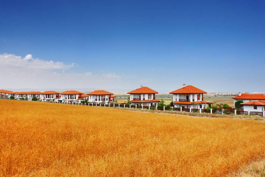 Вилла Generaator House Ахелой Экстерьер фото